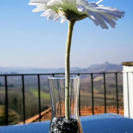 公寓式酒店 La Maggiorina