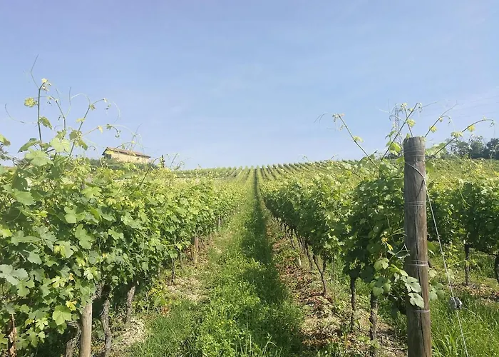 La Maggiorina Aparthotel 4*