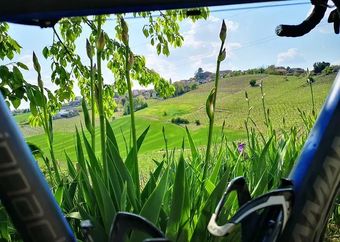 Aparthotel La Maggiorina